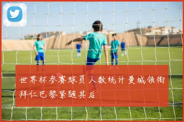 世界杯参赛球员人数统计曼城领衔拜仁巴黎紧随其后