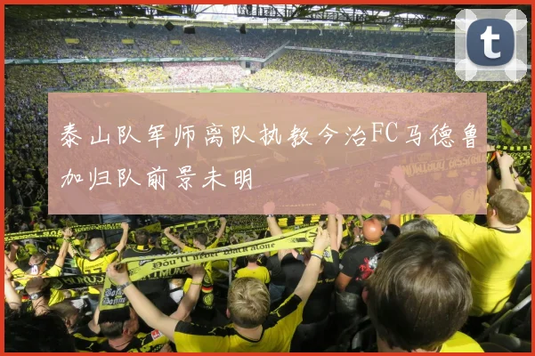 泰山队军师离队执教今治FC马德鲁加归队前景未明